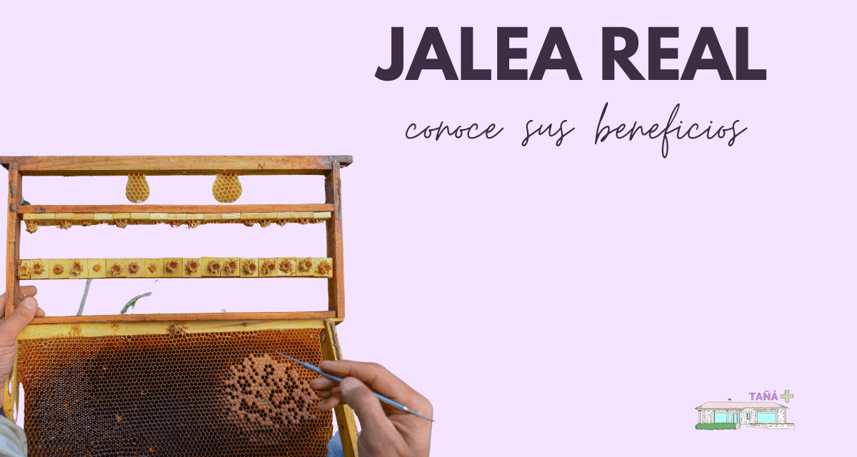 Jalea real y sus beneficios