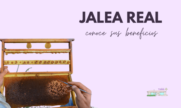 Jalea real y sus beneficios