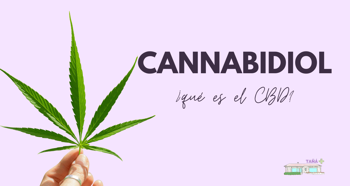 Cannabidiol. ¿Qué es el CBD?