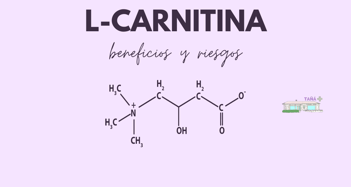 Carnitina, mejora en 30 minutos tu rendimiento