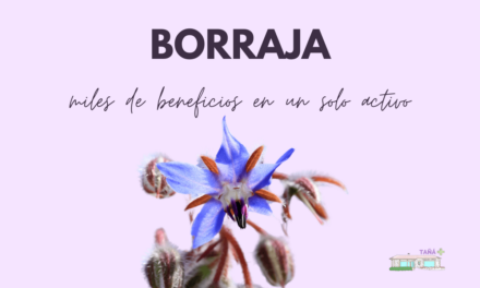 Borraja, miles de beneficios en 1 solo activo