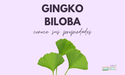 Ginkgo Biloba, utilizada desde hace 2000 años por sus propiedades medicinales