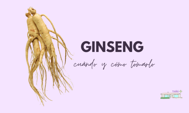 El ginseng, ¿para qué sirve?