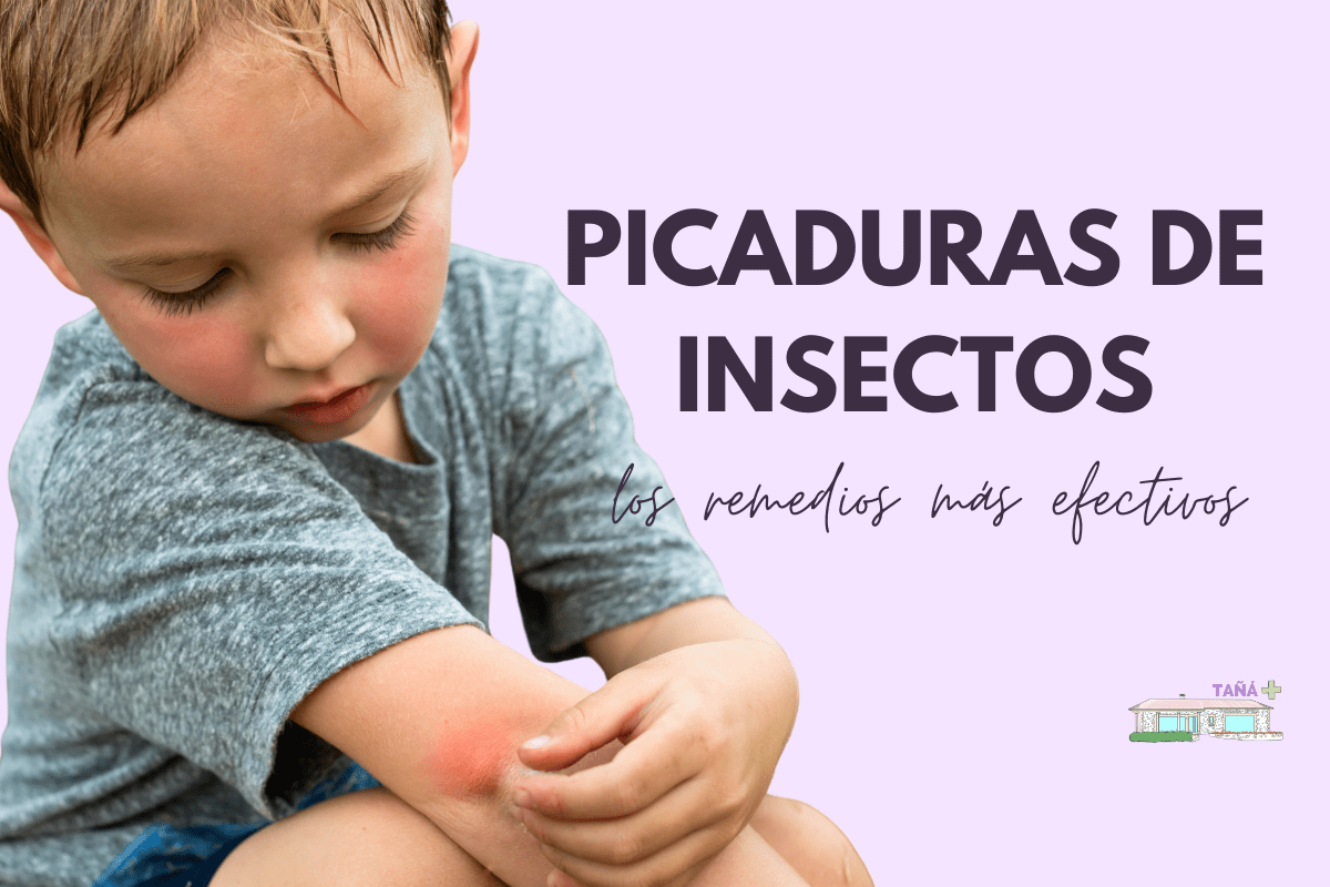 ¿Te pican los insectos?
