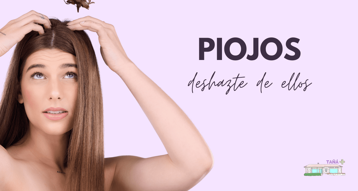 Pediculosis en verano, ¡piojos no gracias!