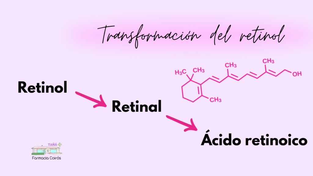 transformación del retinol
