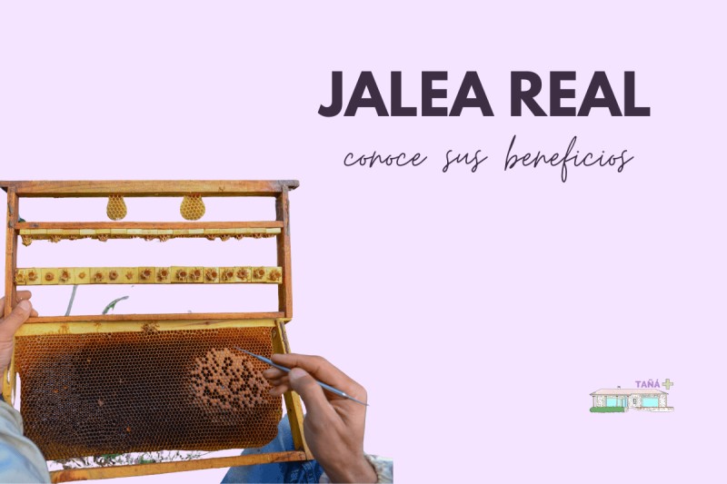 Jalea real