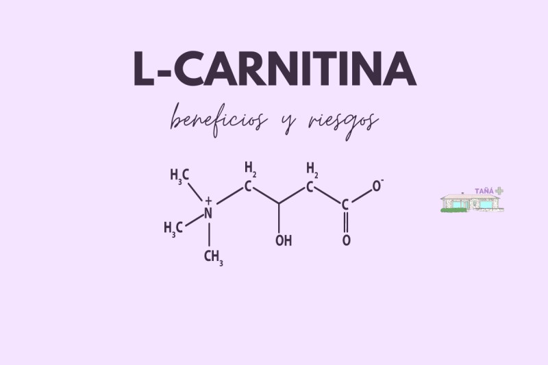L-CARNITINA